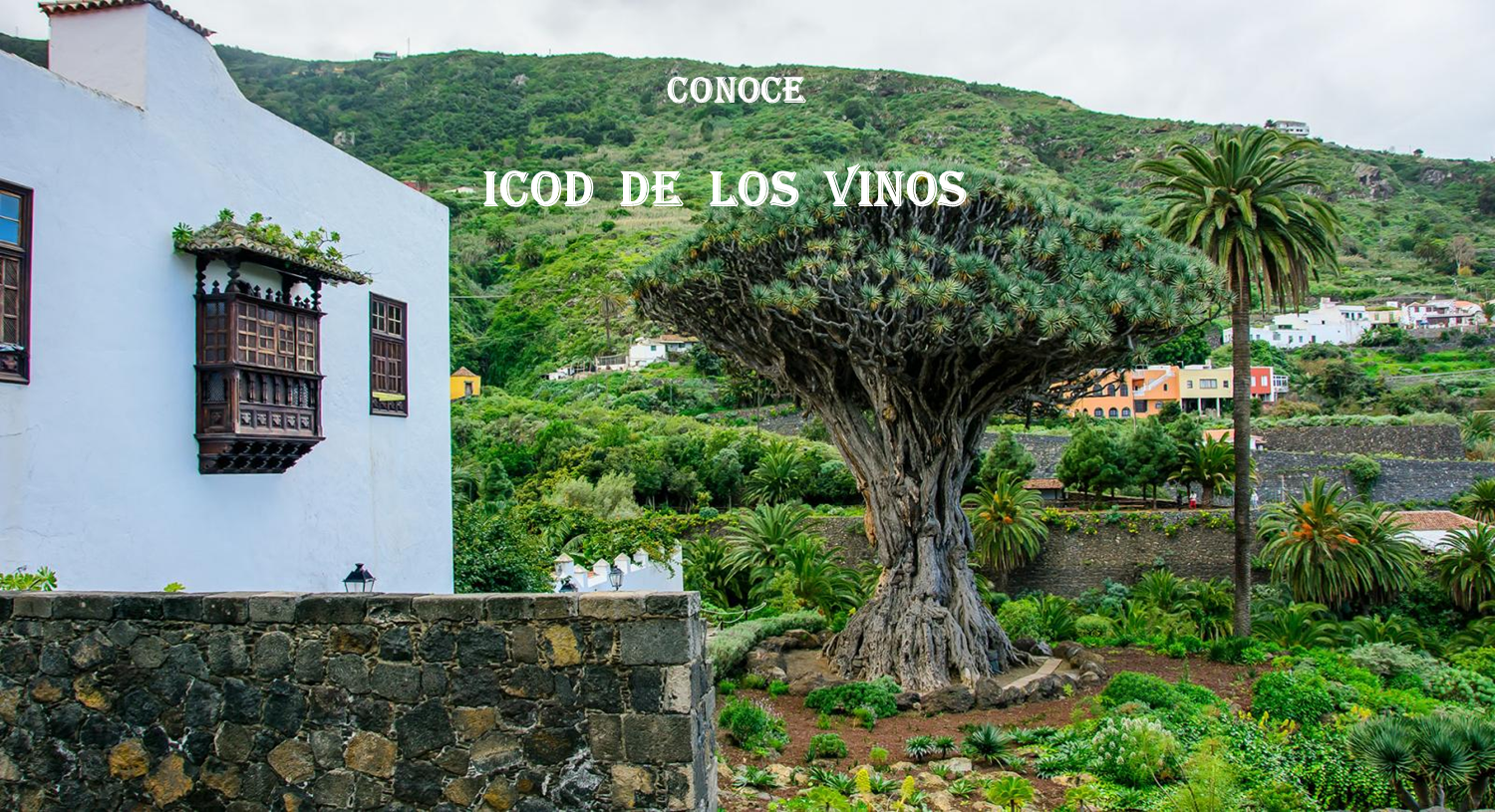 Icod de los Vinos