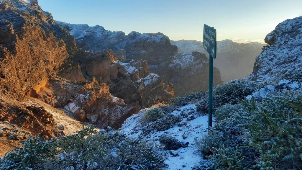 Las Cumbres de La Palma amanecen cubiertas de nieve